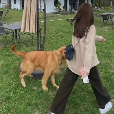 地狱少女 在线观看